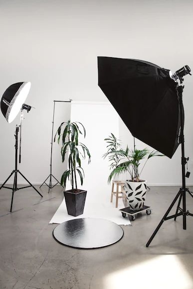 image showing a white photography backdrop extending onto the floor, with plant pots on it