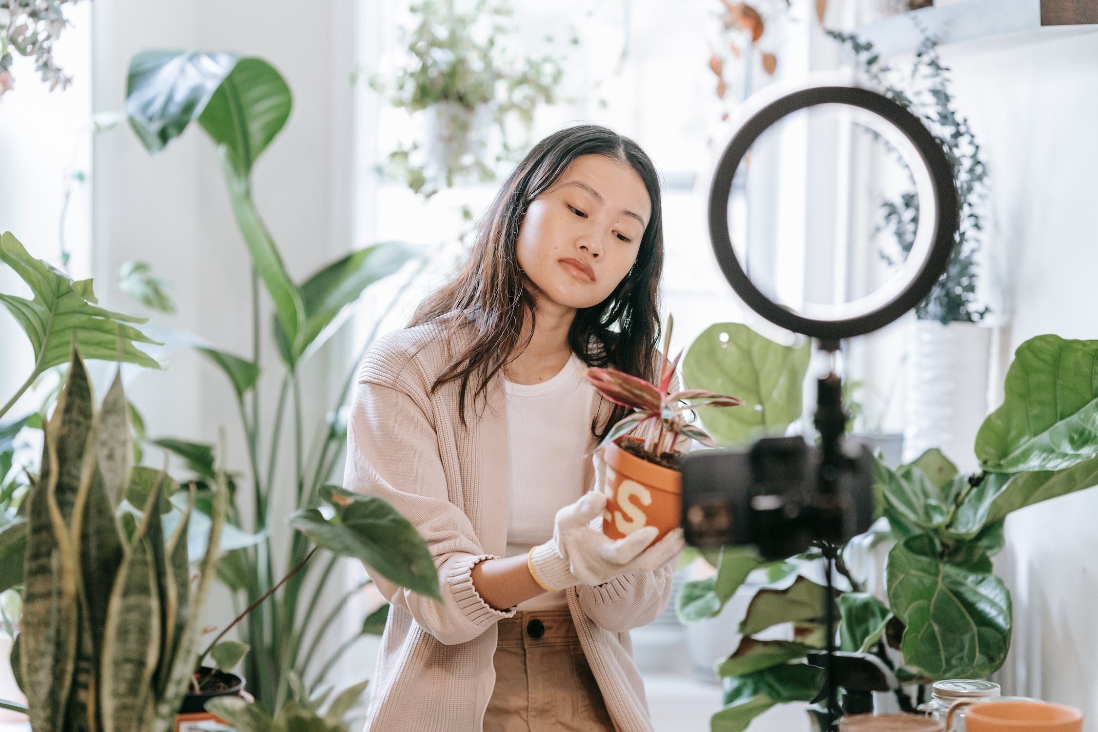 image of a woman vlogging herself showing a plant